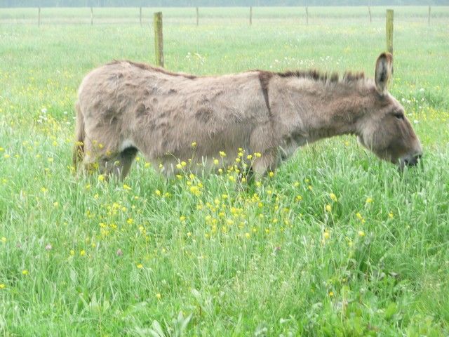 nettoyage mai 2012 (11).jpg